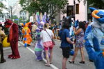 DSC_6477.JPG